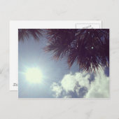 パームツリー&サン ポストカード (正面/裏面)