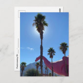 パームツリー&ピンク恐竜 ポストカード (正面/裏面)