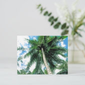 パームツリー ポストカード (スタンド正面)