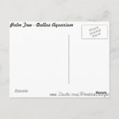 パームツリー ポストカード (裏面)