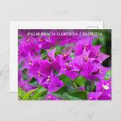 パームビーチガーデンズフロリダフローラ旅行 ポストカード (正面/裏面)