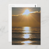 パームビーチサンライズ ポストカード (正面/裏面)