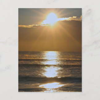 パームビーチサンライズ ポストカード