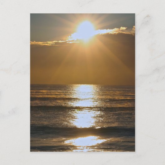 パームビーチサンライズ ポストカード (正面)
