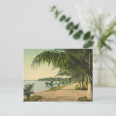 パームビーチ1898ヴィンテージフロリダシーン ポストカード (スタンド正面)