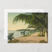 パームビーチ1898ヴィンテージフロリダシーン ポストカード (正面/裏面)