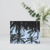 パームフィルドスカイ ポストカード (スタンド正面)