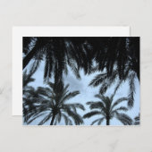 パームフィルドスカイ ポストカード (正面/裏面)