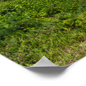 パームフリンジドコロバイビーチ ポスター (角)