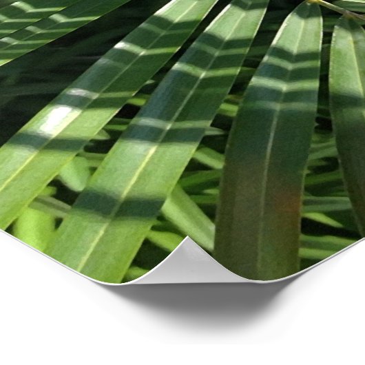 パームフロンドファインアート自然写真 ポスター (角)