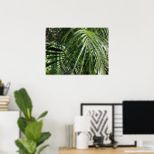 パームフロンドファインアート自然写真 ポスター (ホームオフィス)