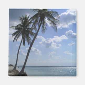 パームマグネット2 マグネット