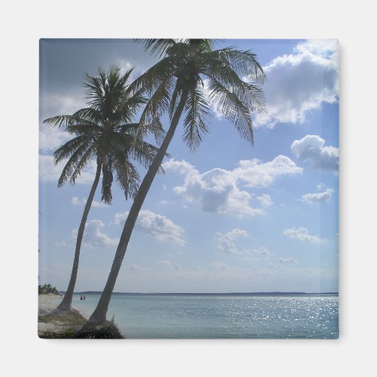 パームマグネット2 マグネット (正面)