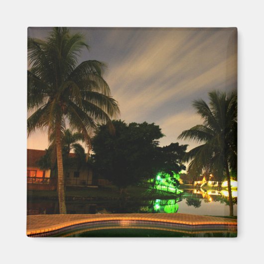 パームマグネット マグネット (正面)