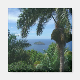 パームマグネット マグネット