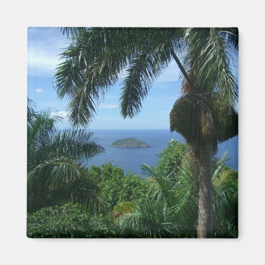 パームマグネット マグネット (正面)