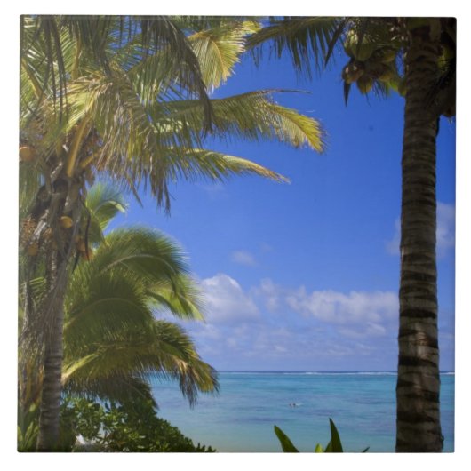 パームライニングビーチ調理師アイランズ2 タイル (正面)