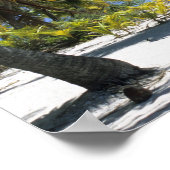 パームライニングビーチ調理師諸島3 ポスター (角)