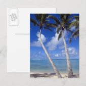 パームライニングビーチ調理師諸島 ポストカード (正面/裏面)