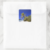 パームラインビーチ調理師諸島7 スクエアシール (バッグ)