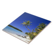 パームラインビーチ調理師諸島 タイル (側面)