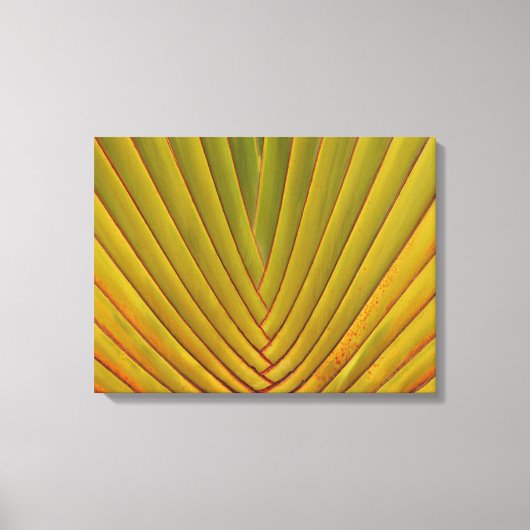 パームリーフ キャンバスプリント (正面)