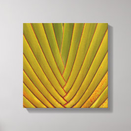 パームリーフ キャンバスプリント