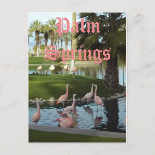 パーム春カリフォルニアポストカード ポストカード (正面)