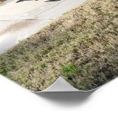 パーム春カリフォルニア – ヴィンテージビュー ポスター (角)