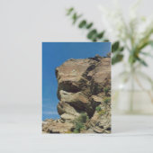 パーム春大きい石 ポストカード (スタンド正面)