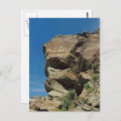 パーム春大きい石 ポストカード (正面/裏面)