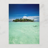 パーム木付き太平洋島ポートレート葉書 ポストカード (正面)