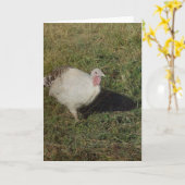 パーム王室のトルコ カード (黄色い花)