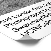 パーム葉砂漠の近くのヤシの ポスター (角)