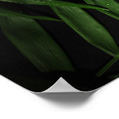 パーム葉 ポスター (角)