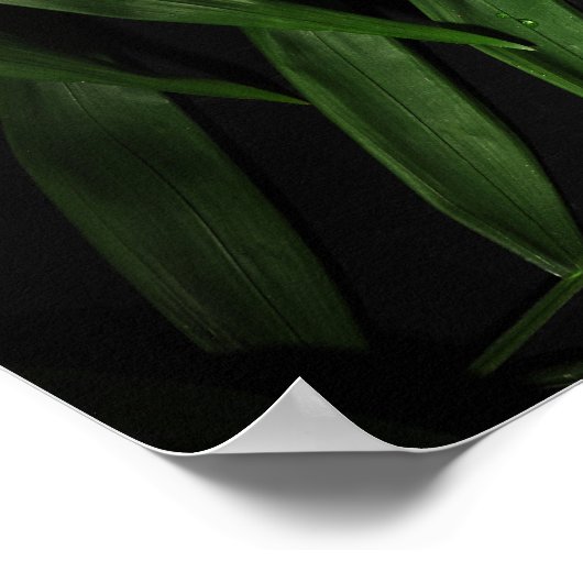 パーム葉 ポスター (角)