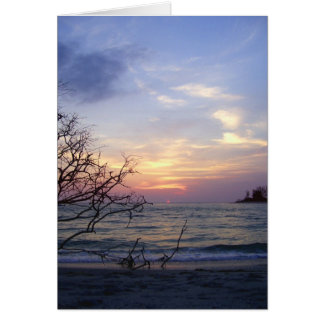 パーム・アイランドの日没1