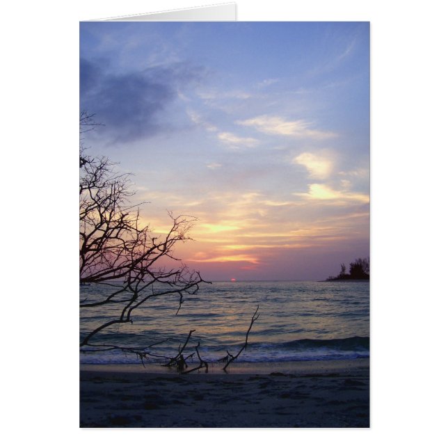 パーム・アイランドの日没1 (正面)