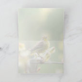 パーム・ウォーブラー カード (内部)