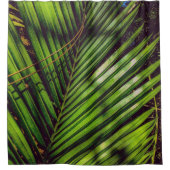 パーム・フロンド、松の葉と影 シャワーカーテン (正面)