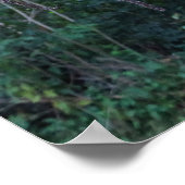 パーム ポスター (角)