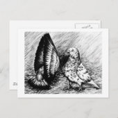 パーラーローラーピジョン ポストカード (正面/裏面)