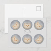 パーリングキャット ポストカード (正面/裏面)