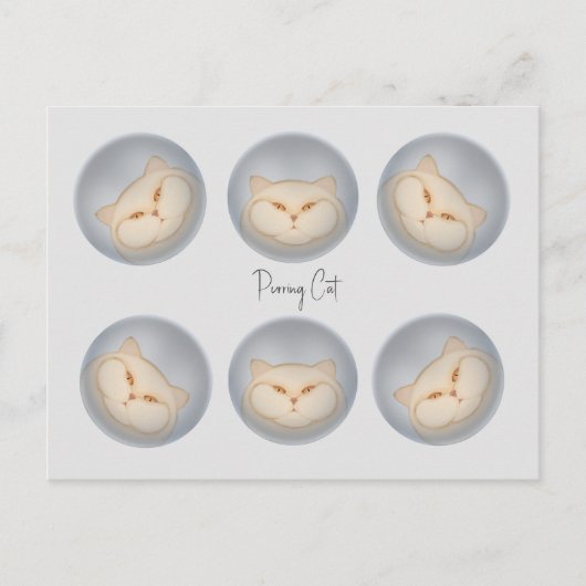 パーリングキャット ポストカード (正面)