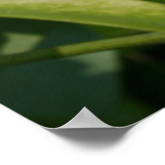 パールアステカ ポスター (角)