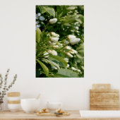 パールアステカ ポスター (キッチン)