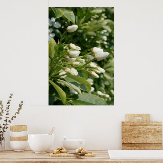 パールアステカ ポスター (キッチン)