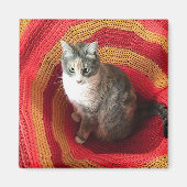 パールキャットオンアフガン マグネット (正面)