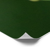 パールクレセント蝶ポスター ポスター (角)