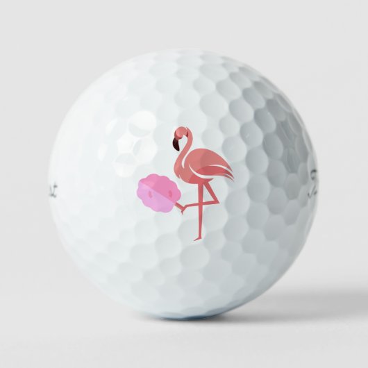 パールタイトルリスト2023 Pro V1 ゴルフボール (正面)